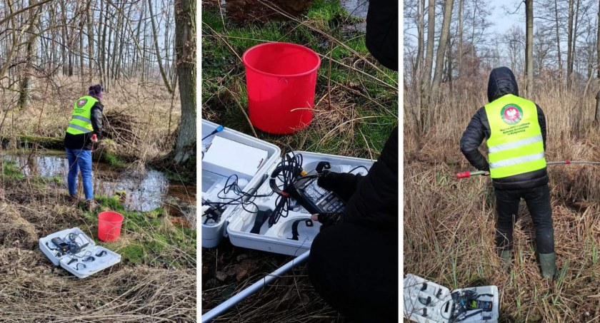 Odpady budowlane porzucone przy cieku wodnym. Interweniował WIOŚ Włocławek [ZDJĘCIA]