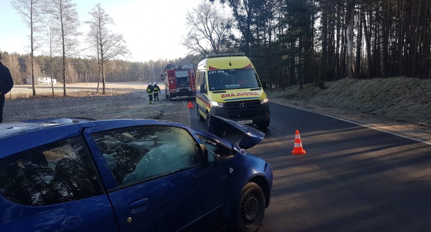 Dachowanie w regionie. Kierująca Mitsubishi straciła panowanie nad pojazdem [ZDJĘCIA]