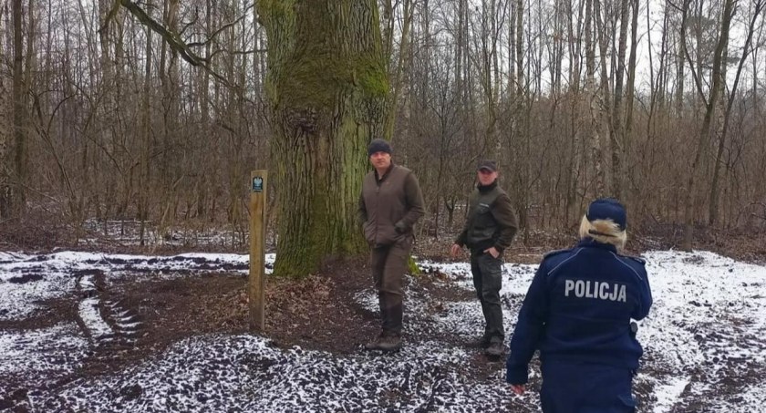 Akcja policji i leśników. Wzięli na cel m.in. kradzieże drewna i  samochody wjeżdżające do lasów