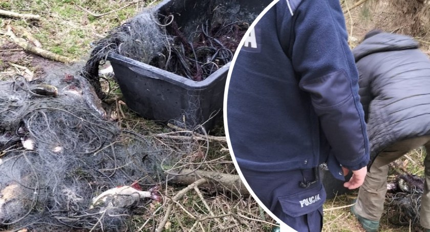 Kłusownik na zbiorniku wodnym w gminie Włocławek zatrzymany