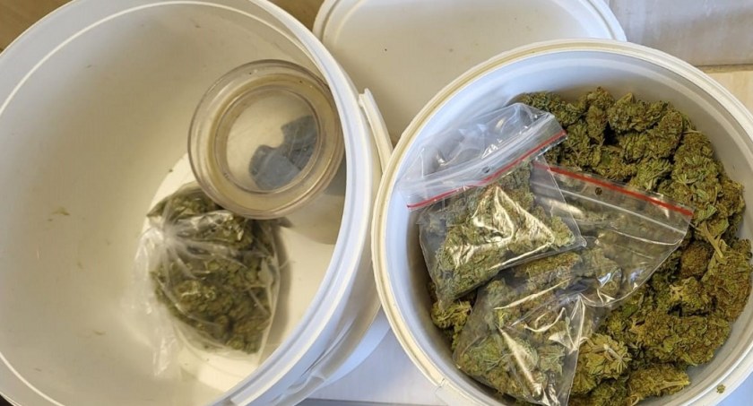 Włocławianin aresztowany za posiadanie prawie pół kilograma narkotyków