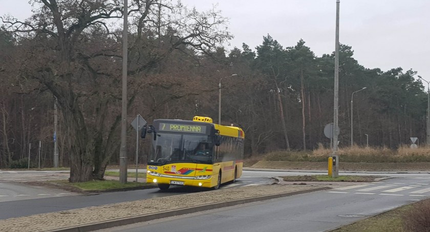 Darmowa komunikacja miejska we Włocławku. Wiemy kiedy i dla kogo