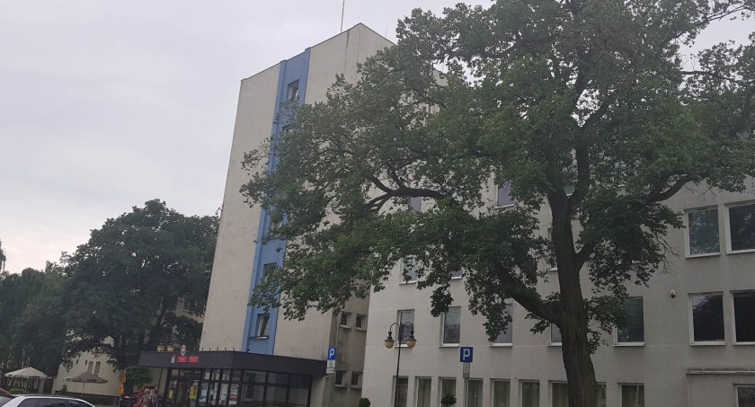 Włocławek będzie zwalczał meszki i komary. Kto wykona opryski i kiedy?