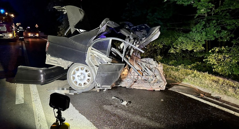 Zderzył się z dzikami w regionie. Auto rozpadło się na kawałki [ZDJĘCIA]