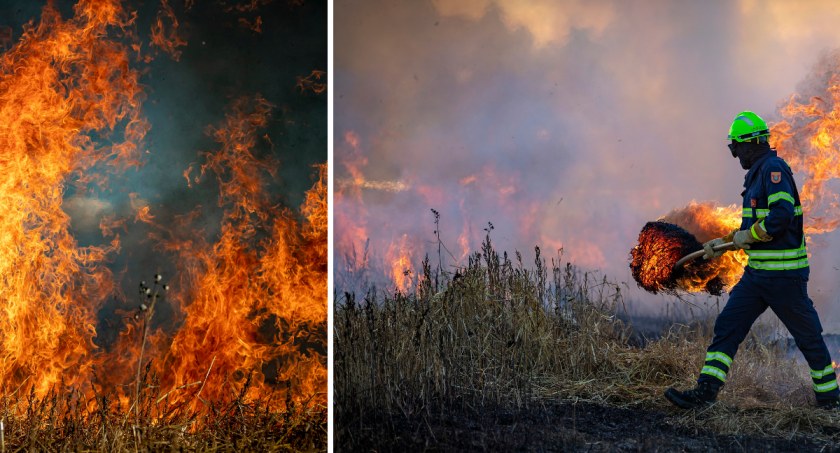 Region: Podpalił trawę dla żartu