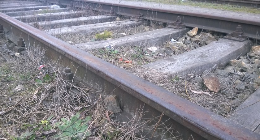 Do Ciechocinka wrócą pociągi?