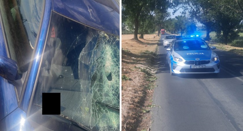 Konar drzewa spadł na Audi. 22-latek miał wiele szczęścia [ZDJĘCIA]