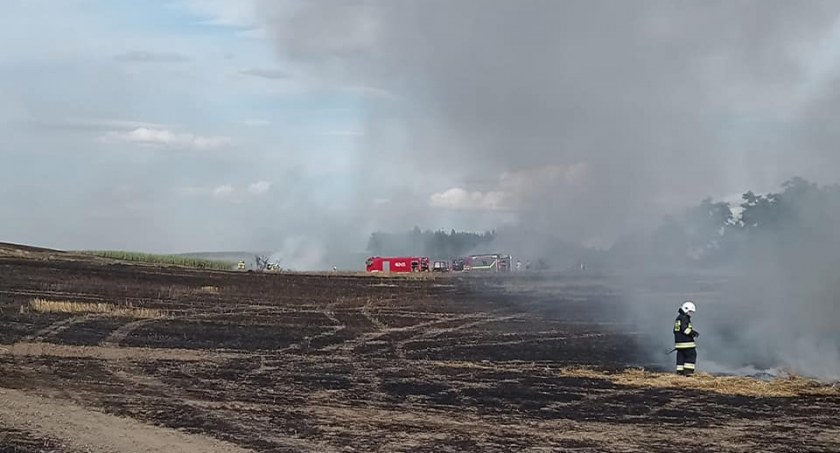 Pożar zboża w regionie. Paliło się zboże, baloty słomy i kombajn. W akcji pomagali sąsiedzi [ZDJĘCIA]