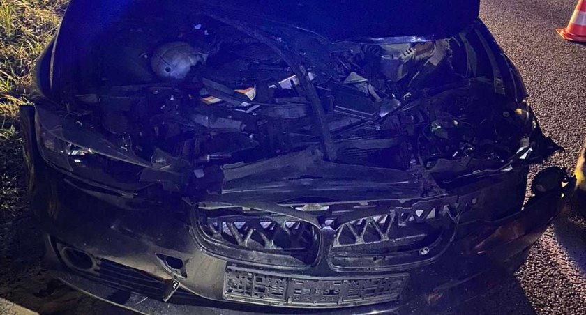 BMW zderzyło się z jeleniem we Włocławku
