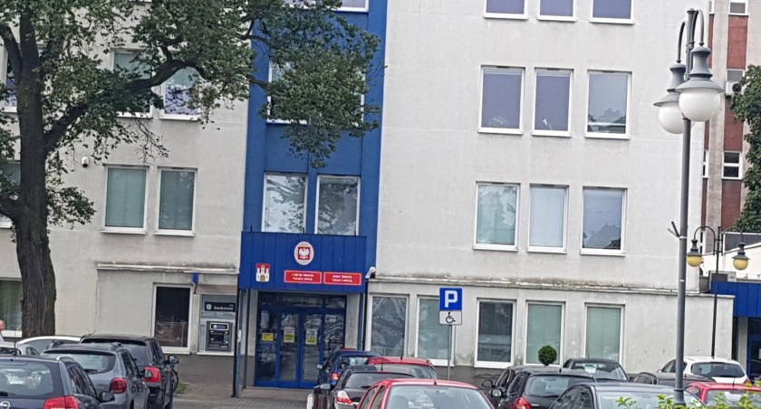 Zielony Festiwal we Włocławku. Wydadzą  blisko 700 tysięcy  