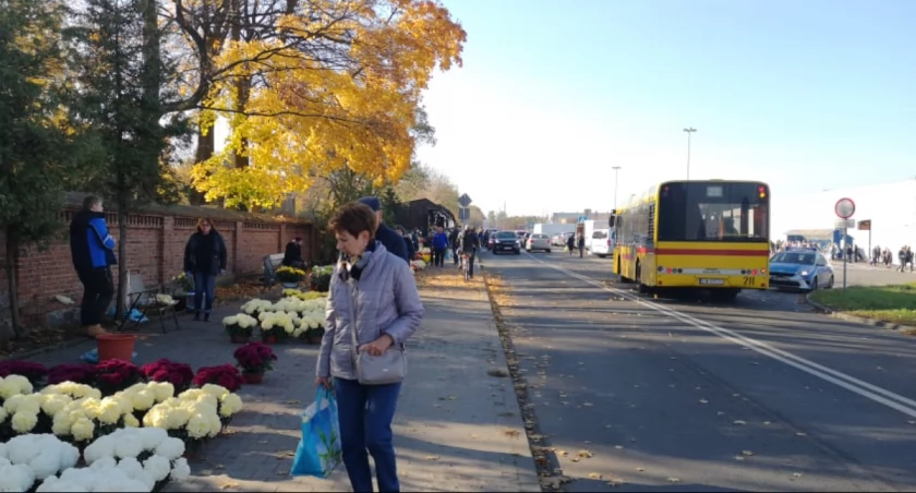 Wszystkich Świętych Włocławek 2023: Uruchomiono autobusowe linie specjalne 