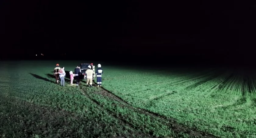 Audi zderzyło się z jeleniem w powiecie włocławskim [ZDJĘCIA]