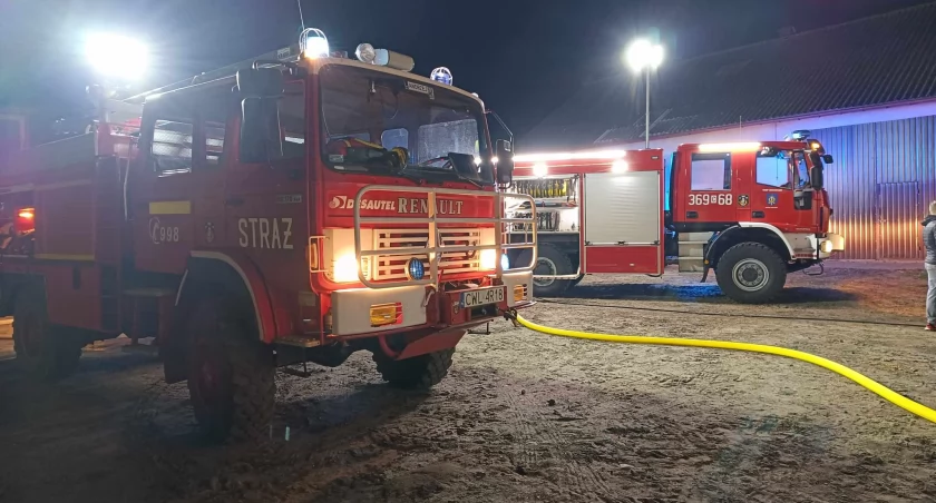 Pożar pod Włocławkiem. Dwa zastępy straży w akcji [ZDJĘCIA]
