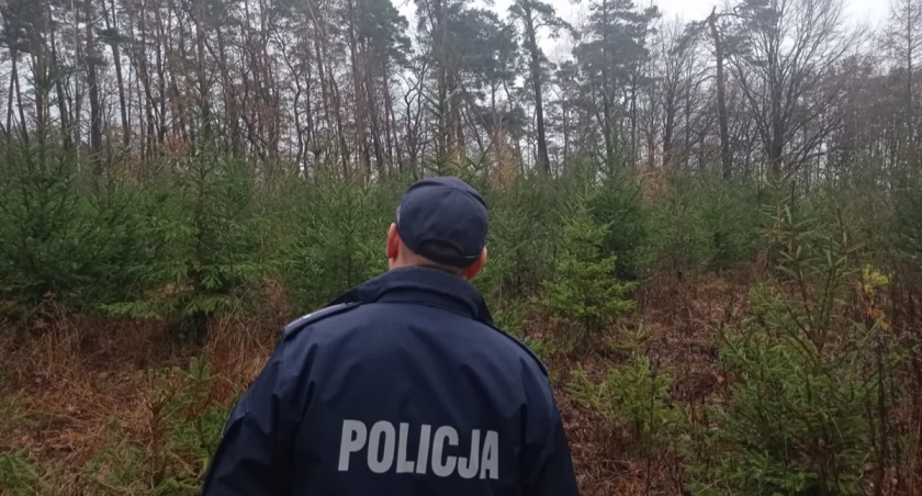 Choinki pod kontrolą włocławskich służb