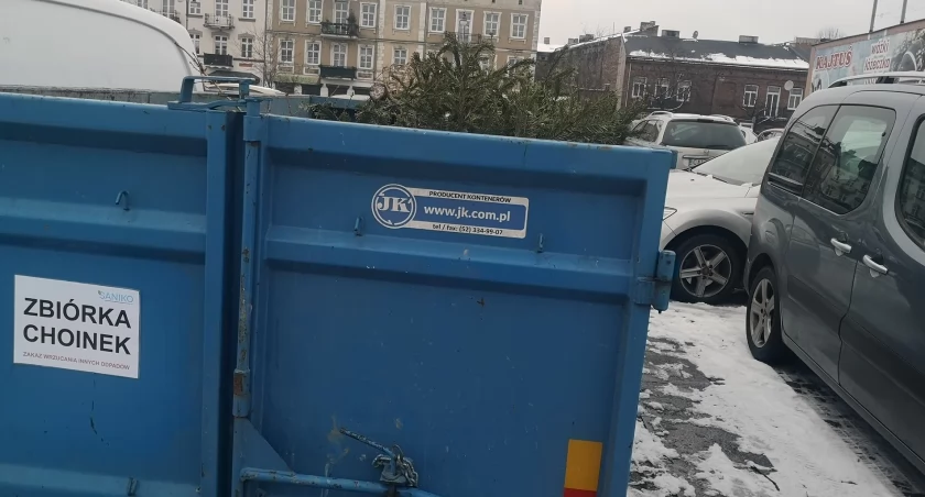 Rusza  zbiórka choinek we Włocławku