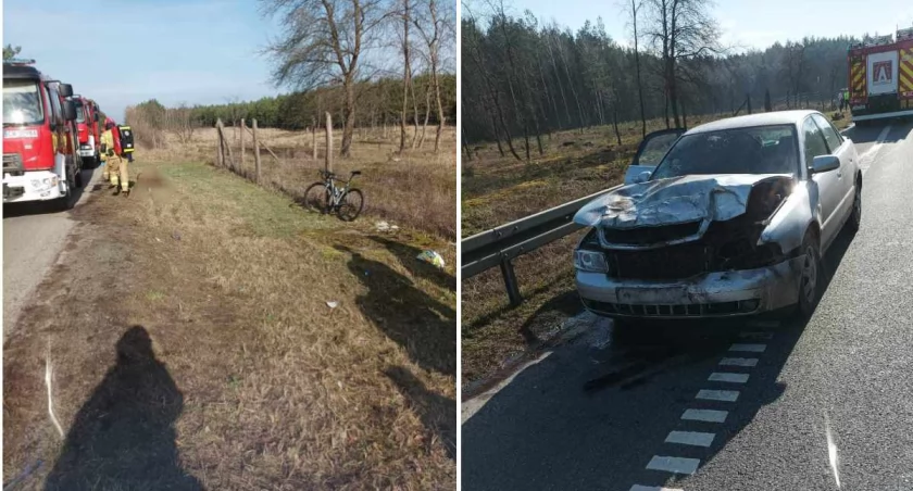 Zderzenie osobówki i rowerzysty z jeleniem na DK 91