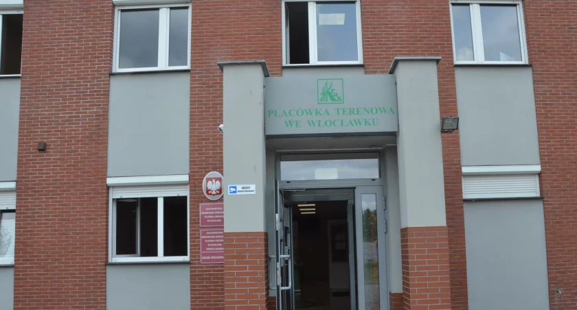 Praca we Włocławku. Kogo szukają?