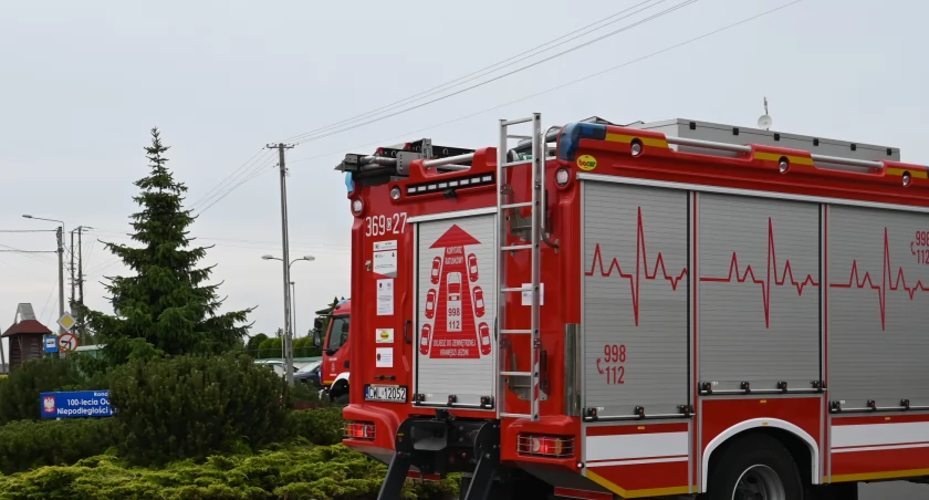 Tragedia zwierząt w Gminie Włocławek. 29 sztuk bydła padło