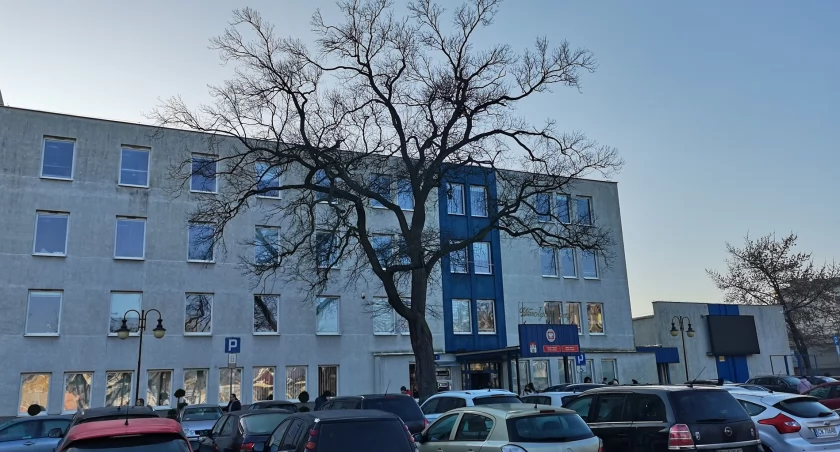 Praca we Włocławku. Urząd Miasta we Włocławku ogłosił nabór
