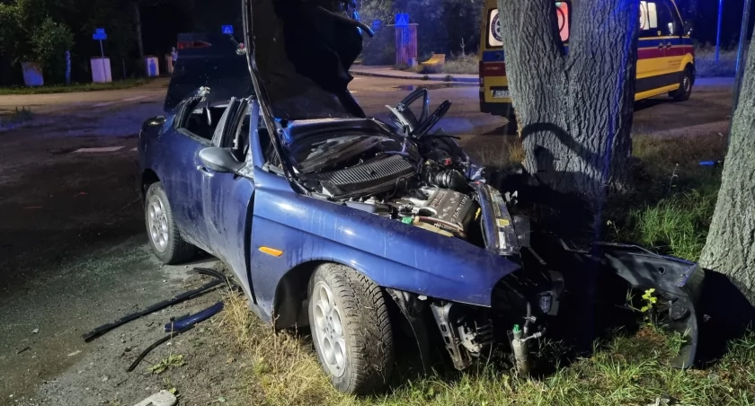 Osobówka uderzyła w drzewo w regionie [ZDJĘCIA]