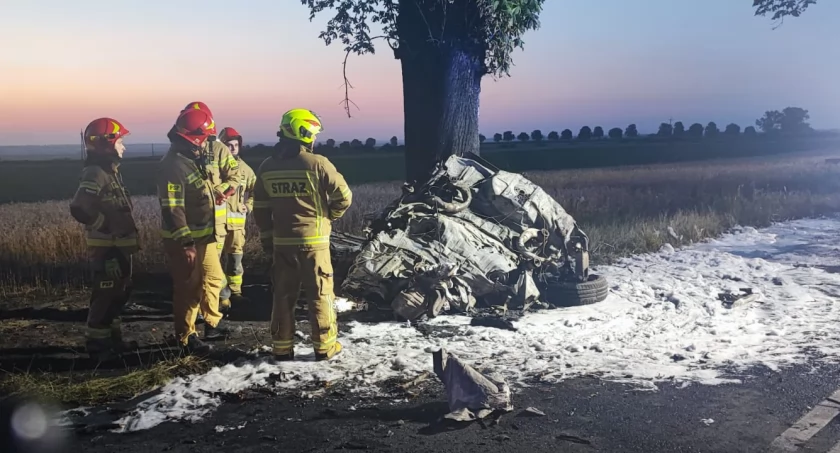 BMW uderzyło w drzewo i spłonęło doszczętnie. Kierowca nie przeżył [ZDJĘCIA]