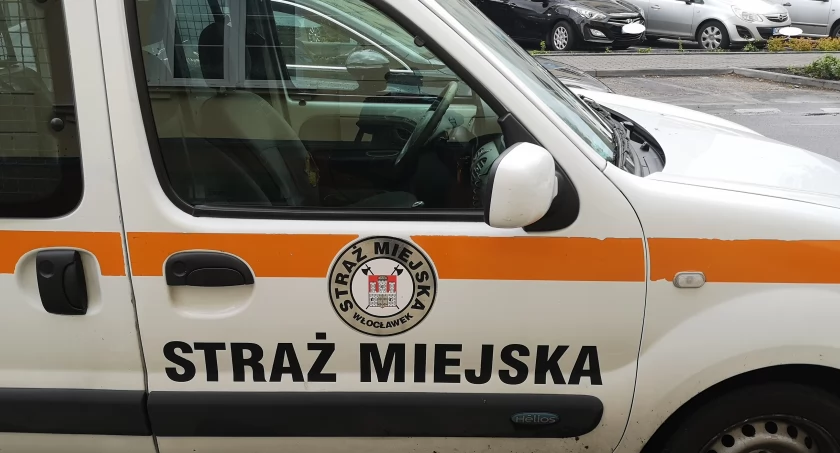 Straż Miejska we Włocławku szuka chętnego do pracy