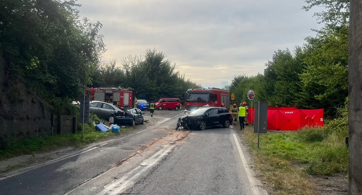 Suzuki zderzył się czołowo z Renault. 10 osób w szpitalu, jedna nie żyje