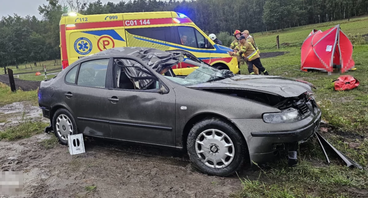 Śmiertelny wypadek. Uderzyła w łosia a potem wjechała do stawu