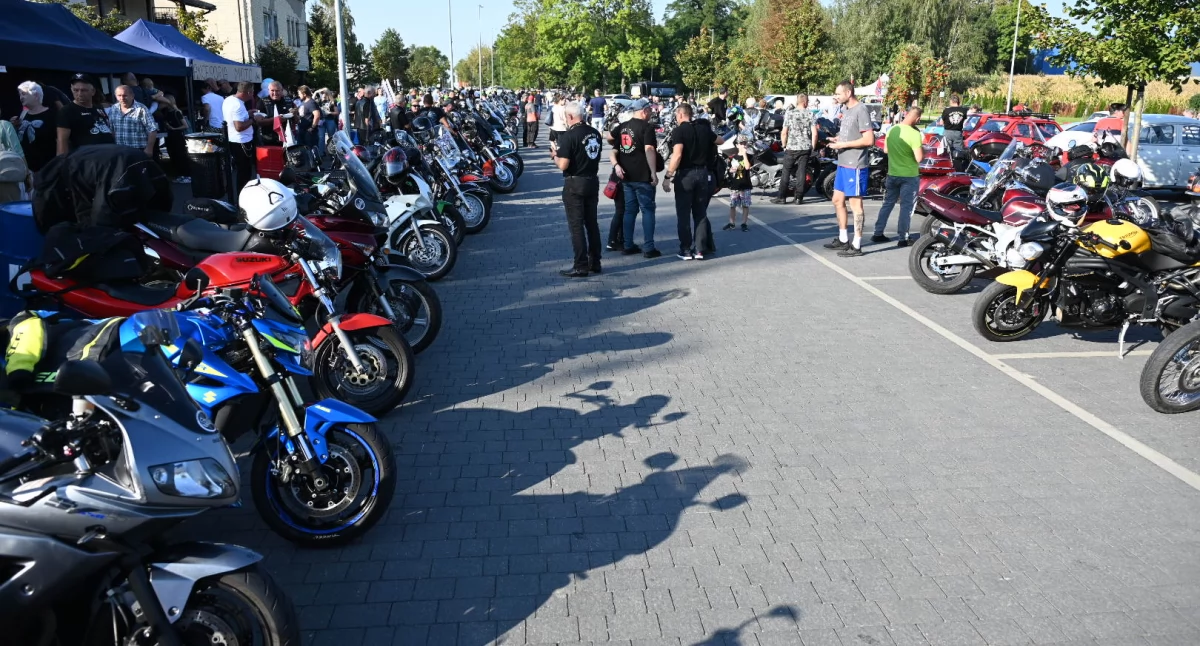 DZIWNOZLOT oraz Piknik Motocyklowy w Brześciu Kujawskim [ZDJĘCIA]