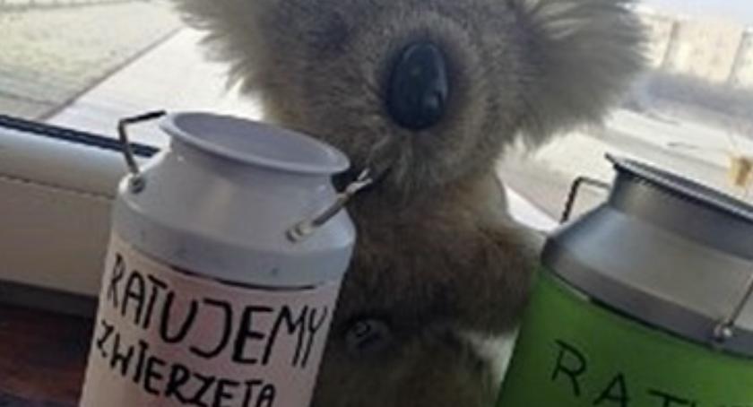 Uczniowie brzeskiej Jedynki pomagają zwierzętom w Australii