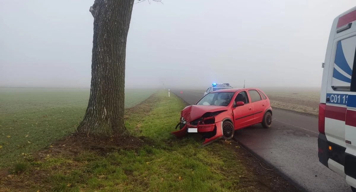 Osobówka uderzyła w drzewo. 34 latek nie zapanował nad autem [ZDJĘCIA]