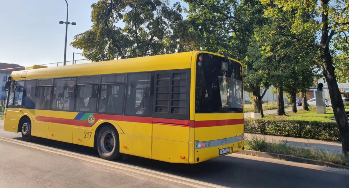MPK Włocławek: Trzy dni przejazdów za darmo. Jak będą kursować autobusy?