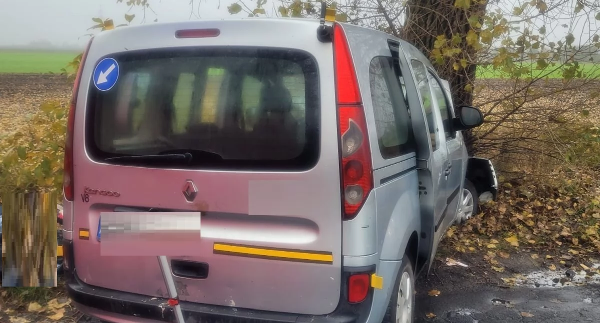 Renault uderzyło w drzewo. Nie żyją dwie osoby