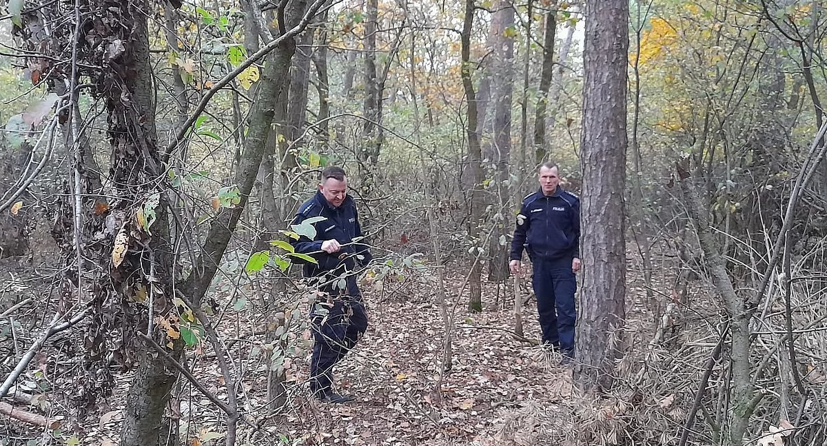 75-letnia amatorka grzybów zagubiła się w lesie. Na pomoc ruszyli mundurowi