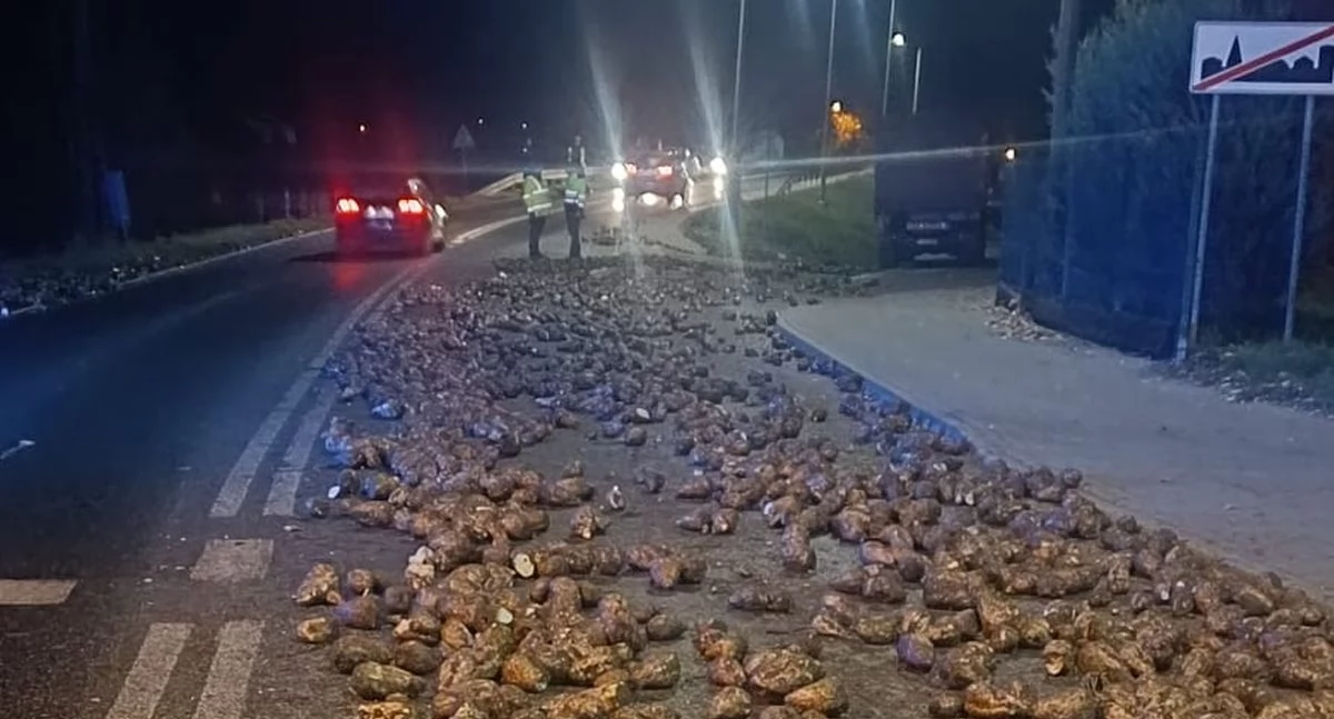 Gubił buraki po drodze. Na trasie powstały utrudnienia