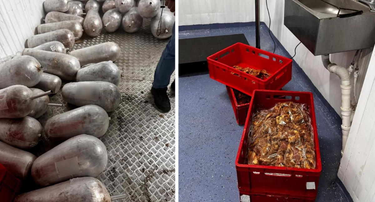 Nielegalna produkcja mięsa do kebaba. Półtorej tony nielegalnego towaru zabezpieczone!