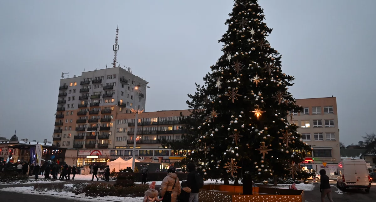 Zrywali ozdoby choinkowe i mieli pistolet we Włocławku. Interwencja patrolu na Placu Wolności