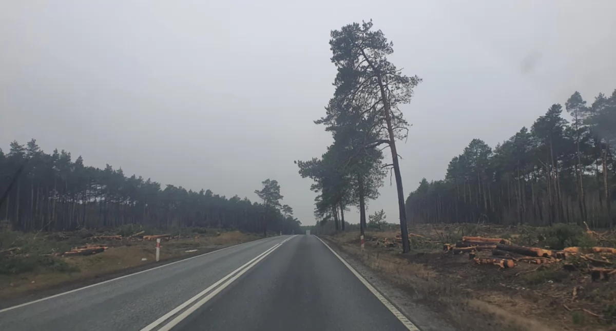 S10 coraz bliżej! Kluczowa decyzja przyspiesza budowę trasy