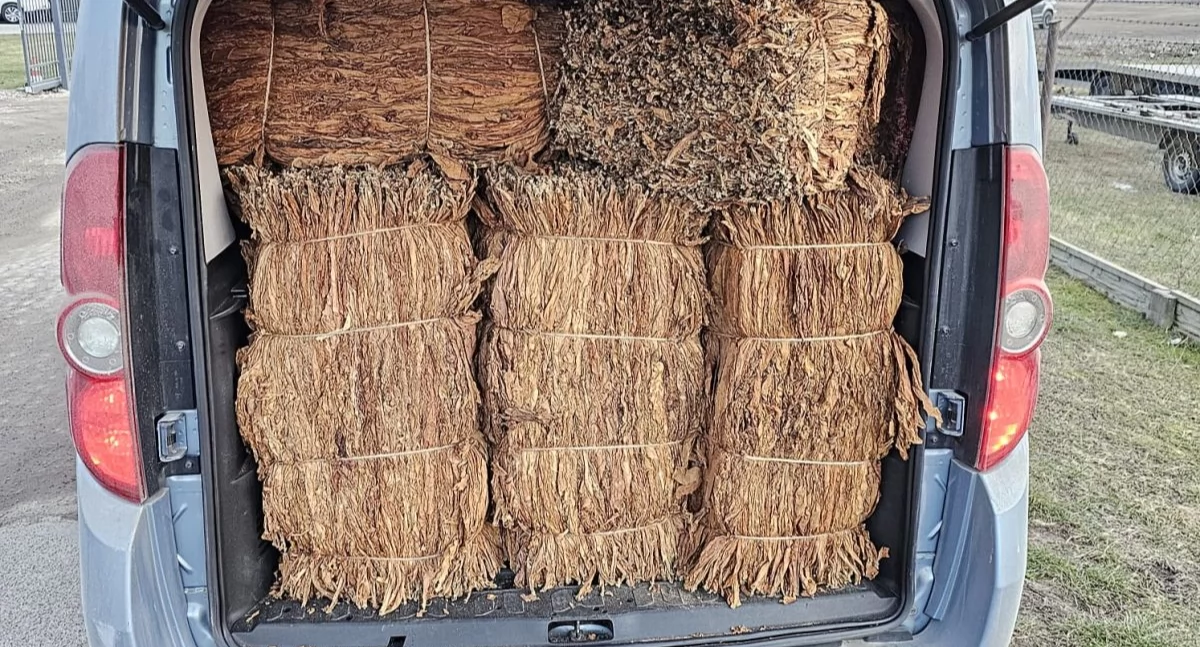 Włocławianin przewoził 360 kg tytoniu bez akcyzy o wartości 220 tysięcy! Wpadł podczas kontroli drogowej