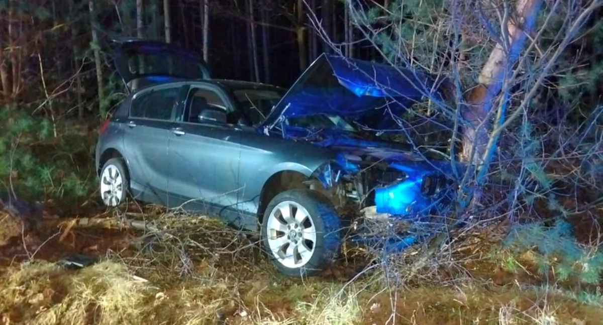Groźny wypadek w regionie! Kierowca chciał ominąć sarnę, auto uderzyło w drzewo