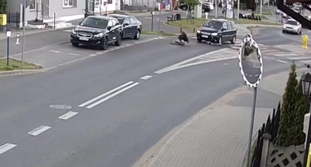 Groźne potrącenie 14-latki na hulajnodze w Świeciu. Czy infrastruktura zapewnia bezpieczeństwo?