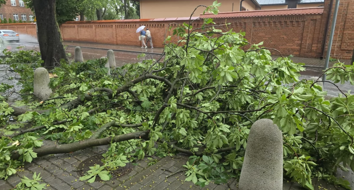 Gwałtowna burza nad Włocławkiem i okolicą – zalane ulice, połamane drzewa, 80 interwencji strażaków