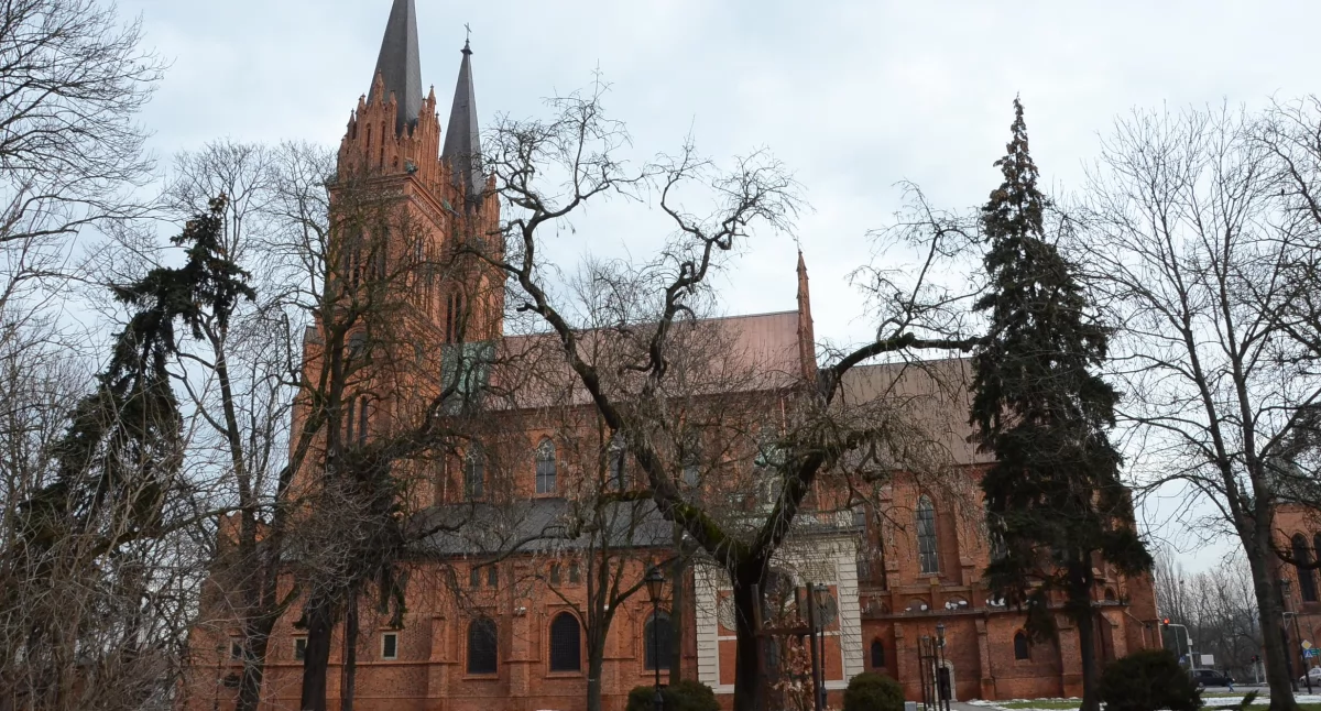 Jubileusz 35-lecia Caritas Diecezji Włocławskiej - wkrótce uroczystości we Włocławku