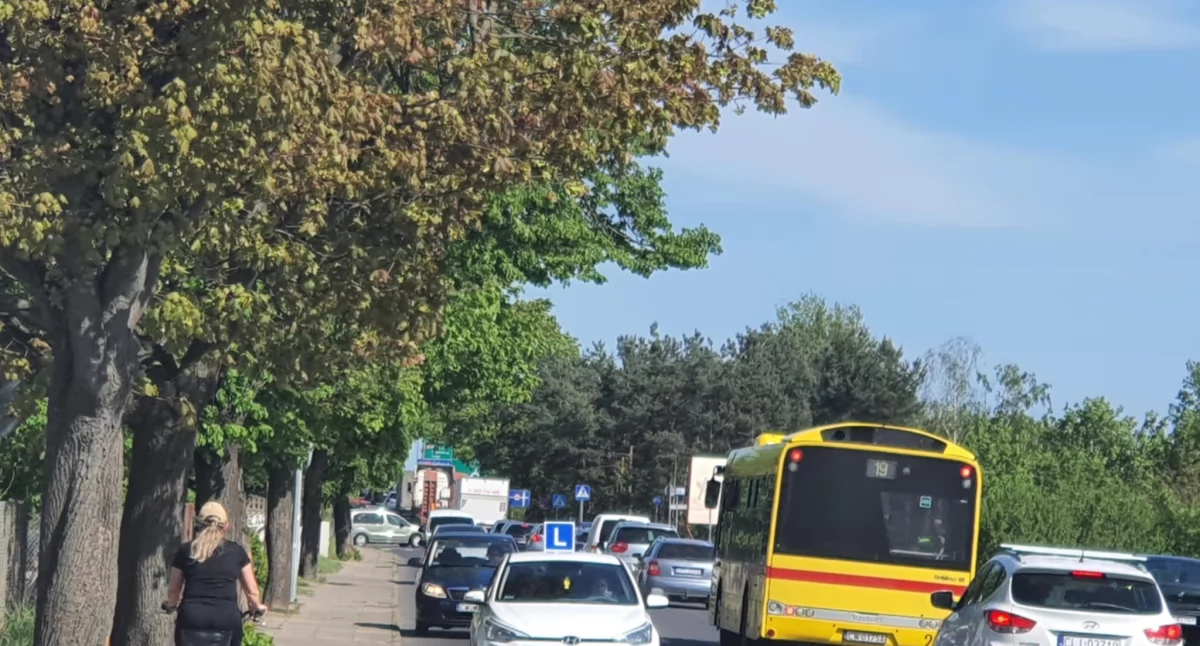 Zmiana rozkładu jazdy dla linii autobusowych we Włocławku. Sprawdź jakich