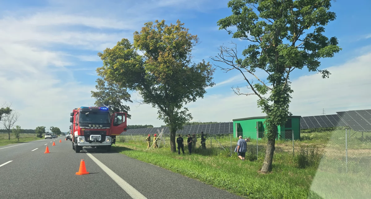 Zadymienie na farmie fotowoltaicznej. Interweniowała Straż Pożarna