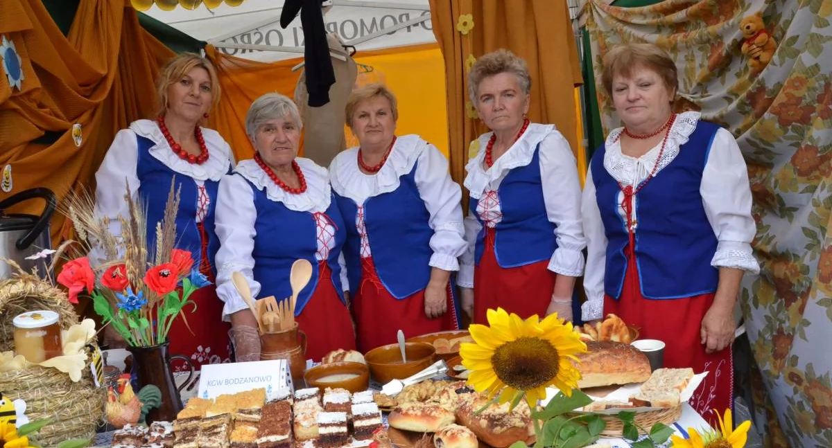 Miodowe Lato w Zarzeczewie 2025. Pszczela impreza z klimatem! Będzie też koncert Cliver