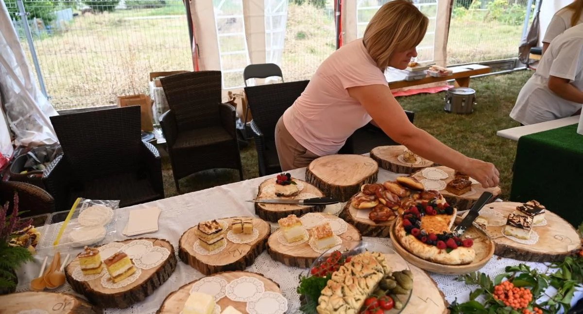 III Piknik na Soli w Zgłowiączce 2025 już w ten weekend – program i atrakcje wydarzenia