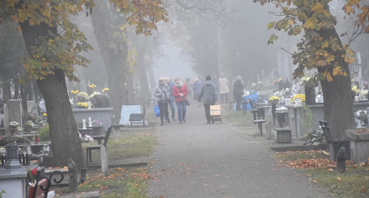 Czy Włocławek powiększy cmentarz przy Chopina? Radny chce znać plany miasta