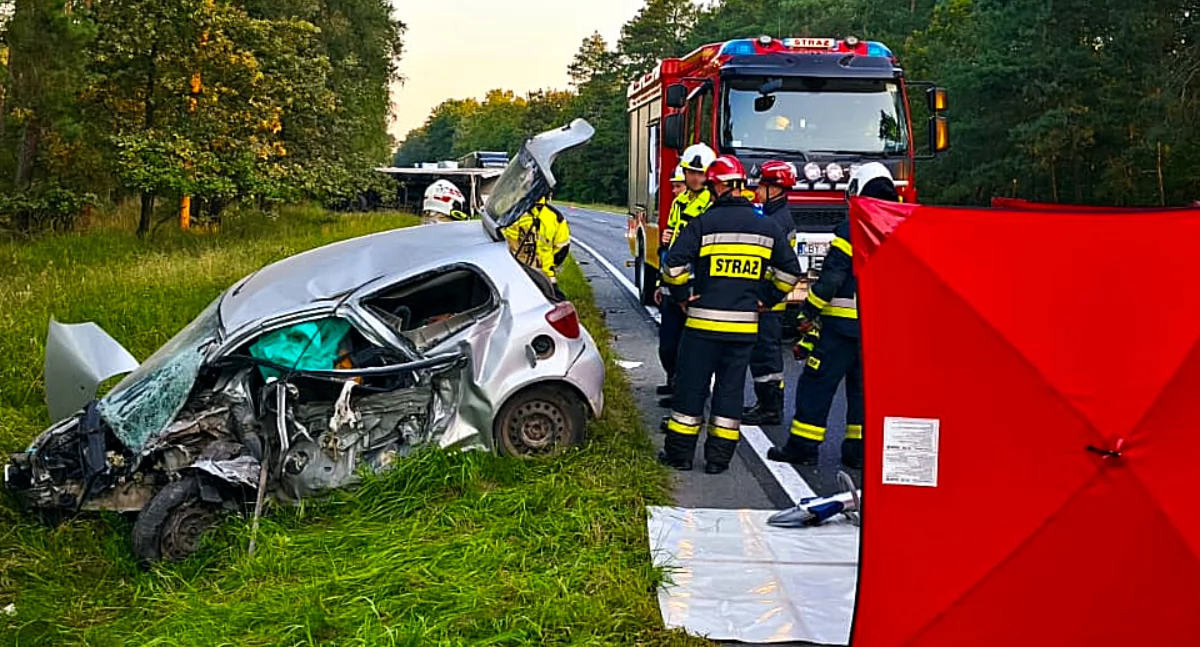Śmiertelny wypadek na DK10 w Cierpicach. Nie żyje 65-letnia kobieta po zderzeniu z ciężarówką