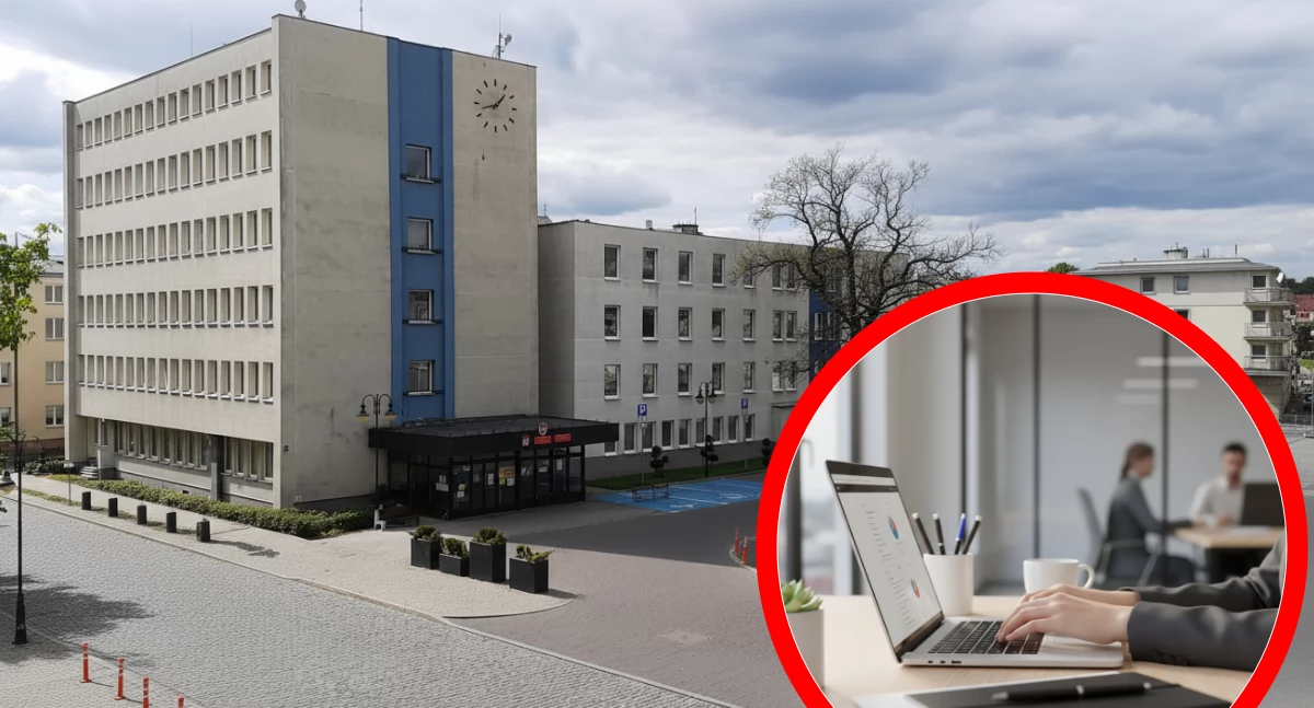 Praca w administracji: Urząd Miasta Włocławek ogłosił nabór
